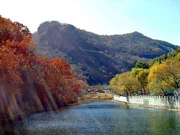 新澳天天开奖资料大全旅游团，福特嘉年华论坛